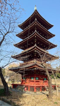 恩賜上野動物園に投稿された画像（2025/2/28）