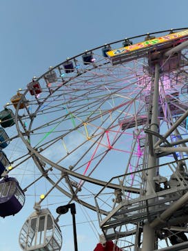 あらかわ遊園に投稿された画像（2025/2/28）