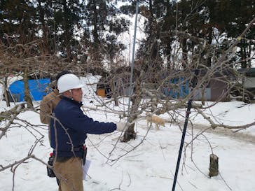 特定非営利活動法人秋田花まるっグリーン・ツーリズム推進協議会に投稿された画像（2025/2/28）