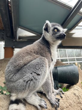 神戸どうぶつ王国に投稿された画像（2025/2/28）