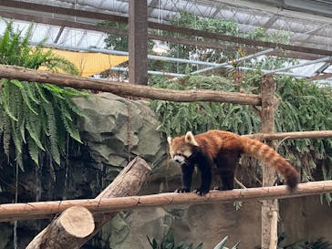 神戸どうぶつ王国に投稿された画像（2025/2/28）