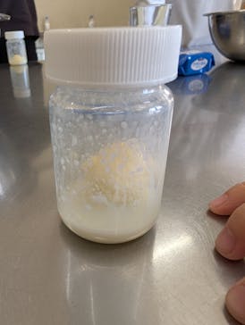 マザー牧場に投稿された画像（2025/2/28）