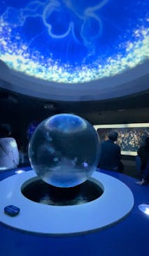 新江ノ島水族館に投稿された画像（2025/2/28）
