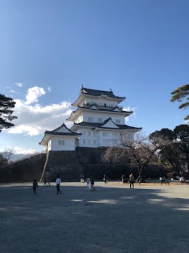 小田原城に投稿された画像（2025/2/28）