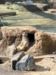 東武動物公園に投稿された画像（2025/2/28）