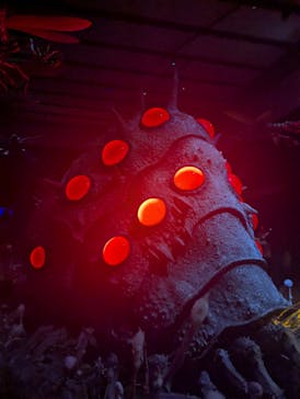 金曜ロードショーとジブリ展　三重展に投稿された画像（2025/2/28）