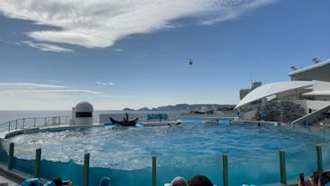 鴨川シーワールドに投稿された画像（2025/2/28）