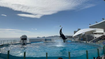 鴨川シーワールドに投稿された画像（2025/2/28）