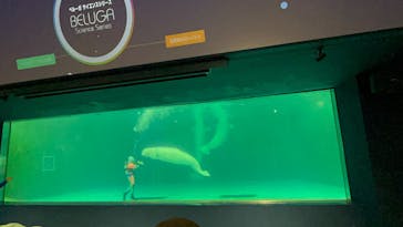 鴨川シーワールドに投稿された画像（2025/2/28）