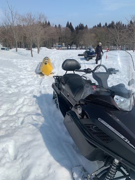 北欧の杜公園に投稿された画像（2025/2/28）