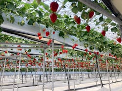 株式会社こまち野に投稿された画像（2025/2/28）