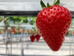 株式会社こまち野に投稿された画像（2025/2/28）