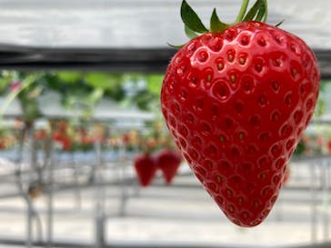 株式会社こまち野に投稿された画像（2025/2/28）