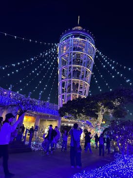 江の島シーキャンドルに投稿された画像（2025/2/28）