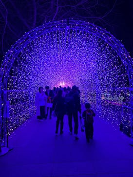 江の島シーキャンドルに投稿された画像（2025/2/28）