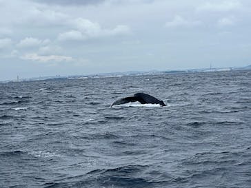 マリンクラブ ベリー 那覇店に投稿された画像（2025/2/28）