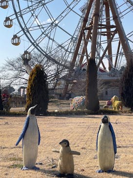 東武動物公園に投稿された画像（2025/2/28）