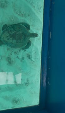 tome cruiseに投稿された画像（2025/2/28）