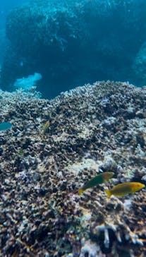 tome cruiseに投稿された画像（2025/2/28）