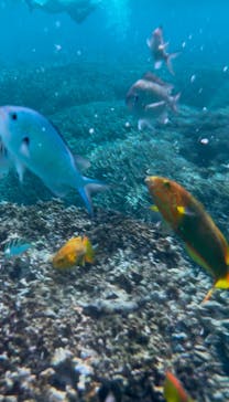 tome cruiseに投稿された画像（2025/2/28）