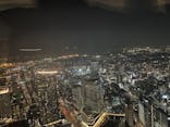 横浜ランドマークタワー 69階展望フロア スカイガーデンに投稿された画像（2025/3/1）