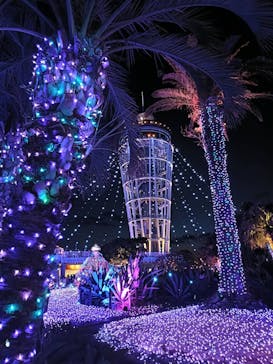 江の島シーキャンドルに投稿された画像（2025/2/28）