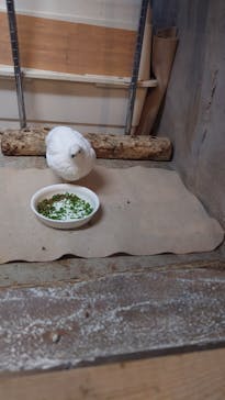 那須どうぶつ王国に投稿された画像（2025/2/28）