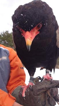 那須どうぶつ王国に投稿された画像（2025/2/28）