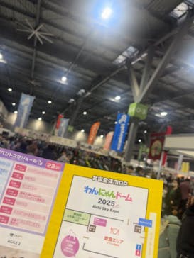 わんにゃんドームに投稿された画像（2025/3/1）