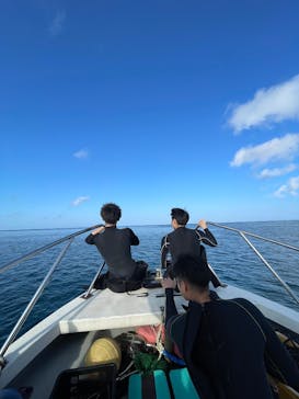 ダイブロックに投稿された画像（2025/3/1）