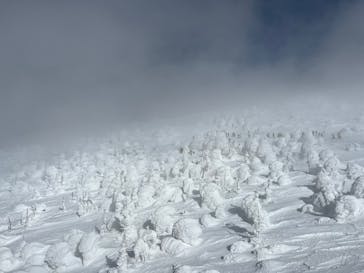 蔵王ロープウェイに投稿された画像（2025/3/1）