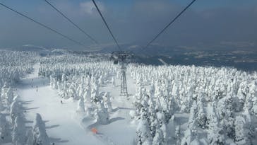 蔵王ロープウェイに投稿された画像（2025/3/1）