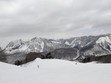 黒伏高原スノーパーク ジャングル・ジャングルに投稿された画像（2025/3/1）