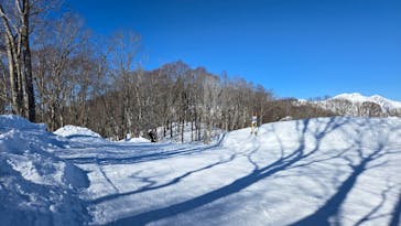 奥利根スノーパークに投稿された画像（2025/3/1）