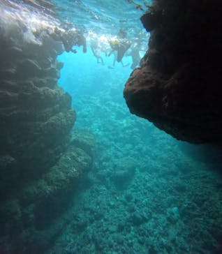 青の洞窟専門店　沖縄ダイビングショップ和に投稿された画像（2025/3/1）