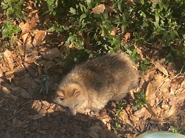 名古屋市東山動植物園に投稿された画像（2025/3/1）