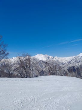 奥利根スノーパークに投稿された画像（2025/3/1）