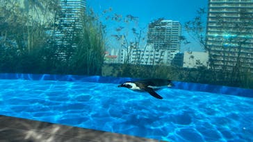 サンシャイン水族館に投稿された画像（2025/3/1）