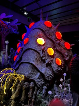 金曜ロードショーとジブリ展　三重展に投稿された画像（2025/3/1）