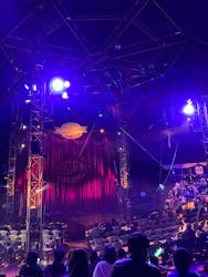 ハッピードリームサーカス浜松公演に投稿された画像（2025/3/1）