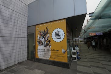 特別展「鳥 ～ゲノム解析が解き明かす新しい鳥類の系統～」国立科学博物館に投稿された画像（2025/3/1）