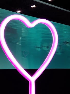 AOAO SAPPOROに投稿された画像（2025/1/29）