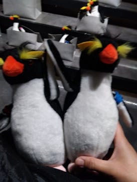 AOAO SAPPOROに投稿された画像（2025/1/29）