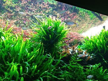 AOAO SAPPOROに投稿された画像（2025/1/29）