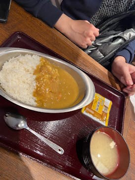 西武園ゆうえんちに投稿された画像（2025/3/1）