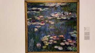 モネ 睡蓮のとき（国立西洋美術館）に投稿された画像（2025/3/1）