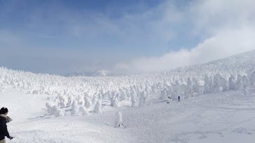 蔵王ロープウェイに投稿された画像（2025/3/1）