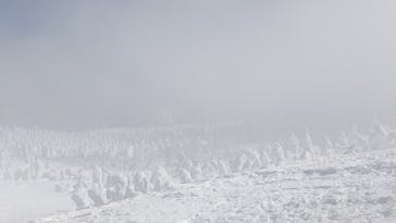 蔵王ロープウェイに投稿された画像（2025/3/1）