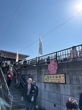 偕楽園本園に投稿された画像（2025/3/1）