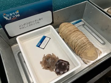 横浜・八景島シーパラダイスに投稿された画像（2025/3/1）